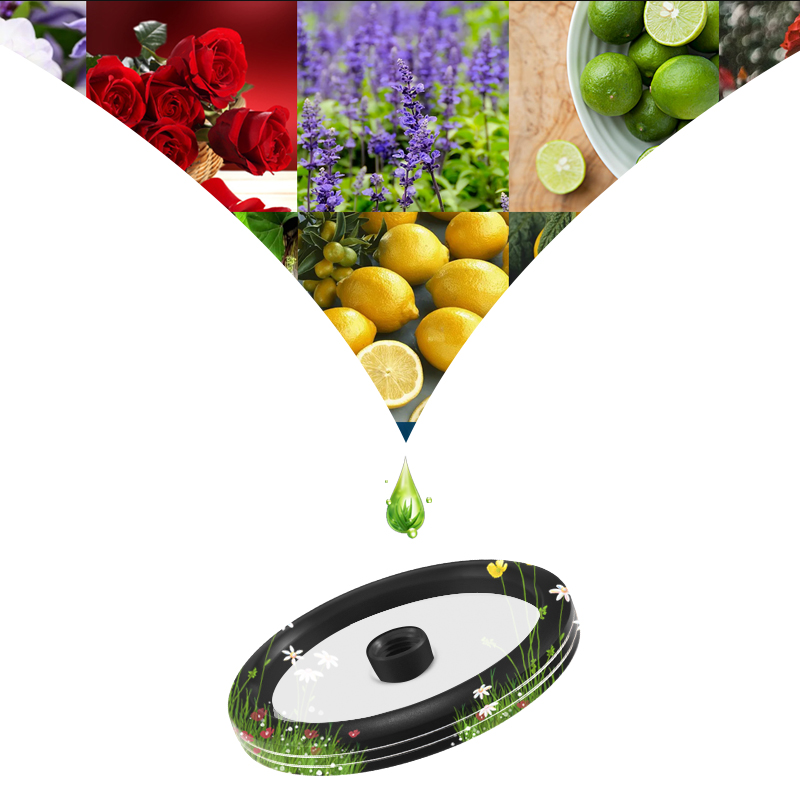 Car Styling Fragrance Diffuser - Perfume Fragrance One review and price